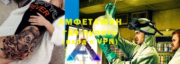 индика Снежногорск