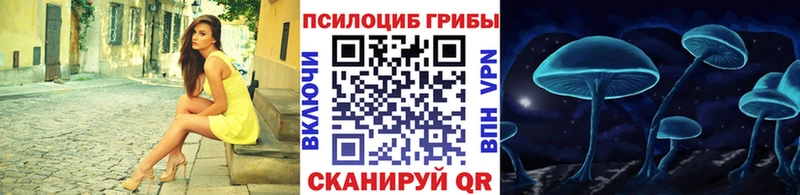 Псилоцибиновые грибы Psilocybe  дарнет шоп  Ефремов 